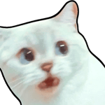 Chipi-Chipi Somethings not right