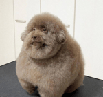 ипучий - Sound