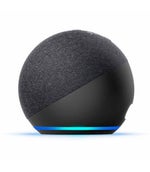 Alexa Notification/Alert