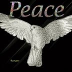 the art of video games