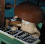 Capelito honk Sound effect