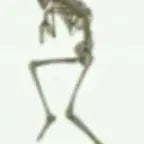 orange water trumpet (copy)