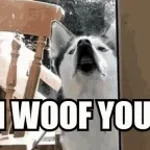 woof woof