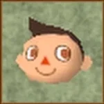 Jingle - Animal Crossing Wild World OST