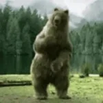 ursu doarme si viseaza by al4x