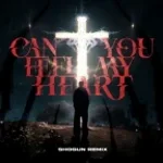 CAN YOU FEEL MY HEART (SHOGUN REMIX) [FREE DL]