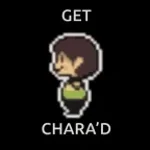 chara lethal wound finisher jsd