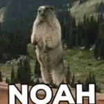 noah