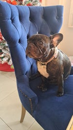 CATARATAS DEL MIAGRA