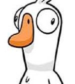 chicken sound goose goose duck