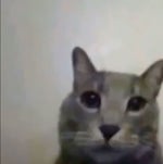 Cyberpunk Edgerunners Maine