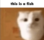 We got the rockets - Sound