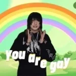 Adu le gay