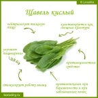 dukh-shchavelia-pridi (copy)