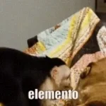 Siento que me pica el ano