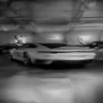 DOGS GETTING MAD WOAF WOAF