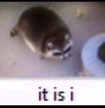 What True Friendship Looks Like Animation