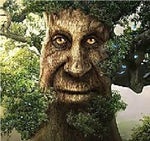 WiseMythicalTree The Elder Scrolls V: Skyrim music