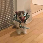 bump bump babumbabbump - Sound