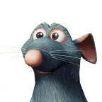 Le Rat (France MEME)