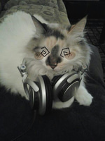 Raze ult