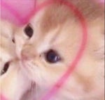 “Está Pintando El Sol”