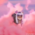 california cat