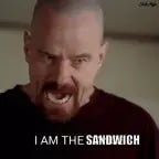 sandwich idiot