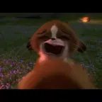 mort near kings feet