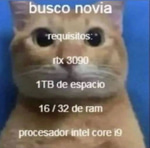 Ringtone