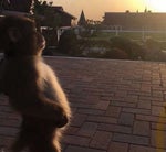 A ce moment là tu savais que t'avais fait un truc de fou ?