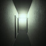 In the darkness of the