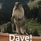 Bodenlos die Kinder von heute