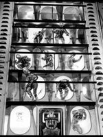 Incompatible cybermen