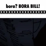 BORA BILL