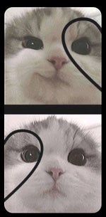 Muni Long Twin where have you been (Made For Me) (Lyrics)