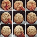 I need to conquer this