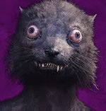 Vidéo sans titre ‐ Réalisée avec Clipchamp 2