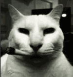 Five Little Chuddies Educational Soyjak Nursery Rhymes for Chil