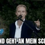 alice-weidel-schnitzel