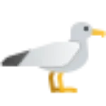 Classic Seagull