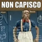 non capisco 2