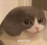 despicable me bass boost whistle