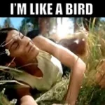 IM LIKE A BIRD