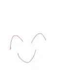 Recording 12/29/25 15:36:54