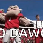 GO DAWGS