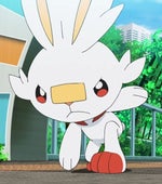 Shake hands with danger