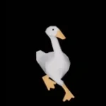 Danse comme un canard