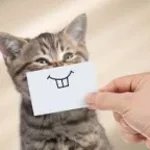 Limbus Company In Hеll We Live, Lament