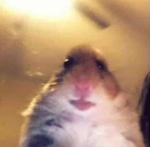 Fait moi une vidéo de ton ok stp